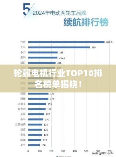 轮毂电机行业TOP10排名榜单揭晓！
