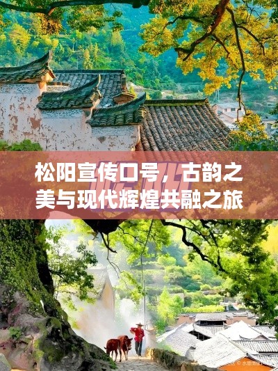 松阳宣传口号，古韵之美与现代辉煌共融之旅