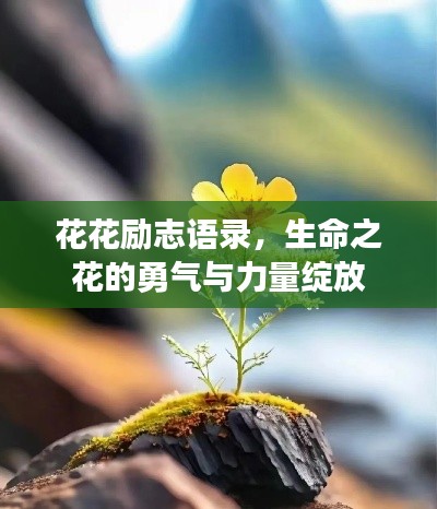 花花励志语录，生命之花的勇气与力量绽放
