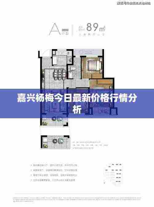嘉兴杨梅今日最新价格行情分析