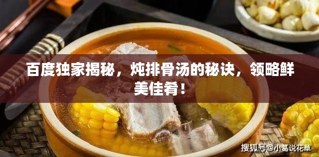 百度独家揭秘，炖排骨汤的秘诀，领略鲜美佳肴！