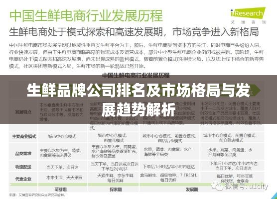 生鲜品牌公司排名及市场格局与发展趋势解析