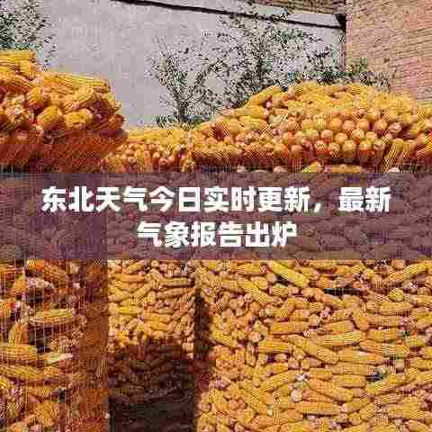 东北天气今日实时更新，最新气象报告出炉