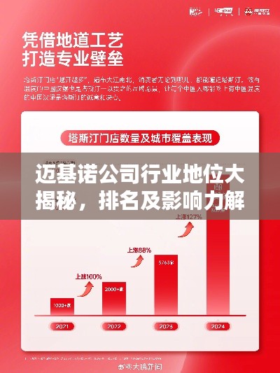 迈基诺公司行业地位大揭秘，排名及影响力解析