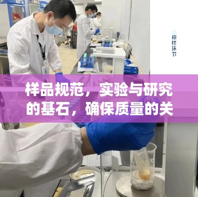 云屯鸟散 第2页