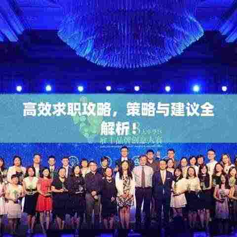 高效求职攻略,策略与建议全解析!