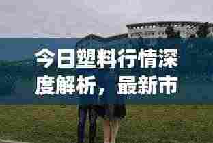 今日塑料行情深度解析,最新市场动态一网打尽