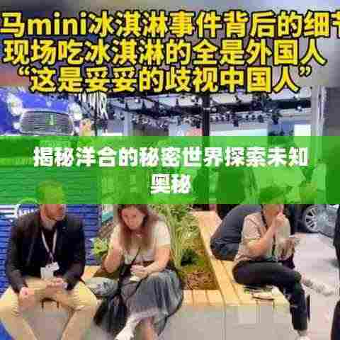 揭秘洋合的秘密世界探索未知奥秘