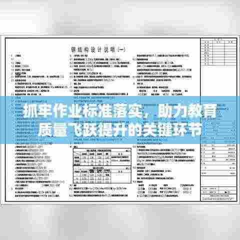 抓牢作业标准落实，助力教育质量飞跃提升的关键环节