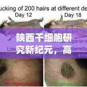 陕西干细胞研究新纪元，高效检测引领干细胞应用新时代