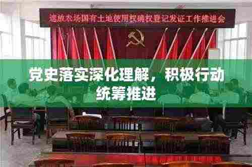 党史落实深化理解，积极行动统筹推进