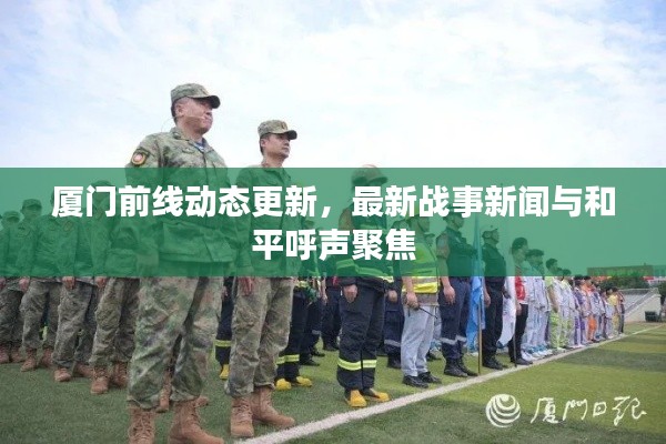 厦门前线动态更新，最新战事新闻与和平呼声聚焦
