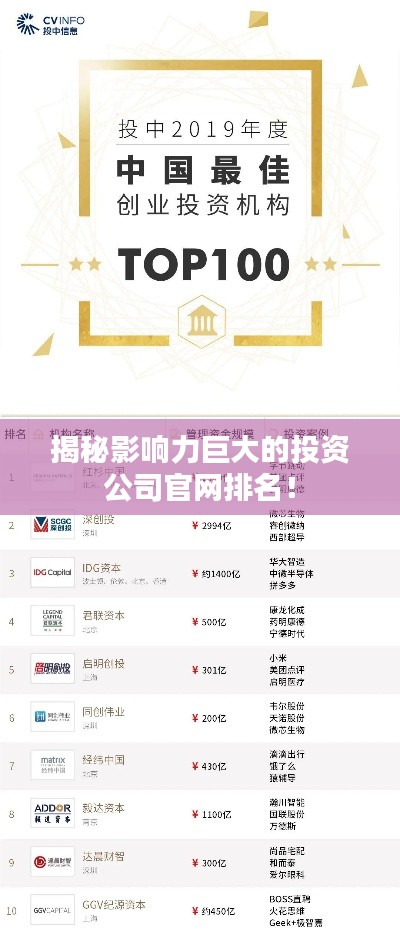 揭秘影响力巨大的投资公司官网排名！