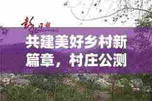 共建美好乡村新篇章，村庄公测推进举措落地实施