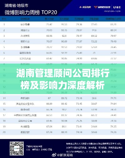 湖南管理顾问公司排行榜及影响力深度解析