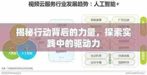 揭秘行动背后的力量，探索实践中的驱动力