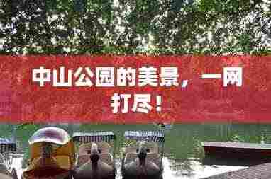 中山公园的美景，一网打尽！
