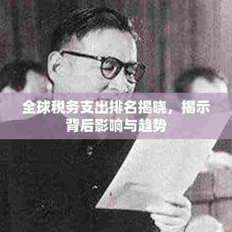 全球税务支出排名揭晓，揭示背后影响与趋势