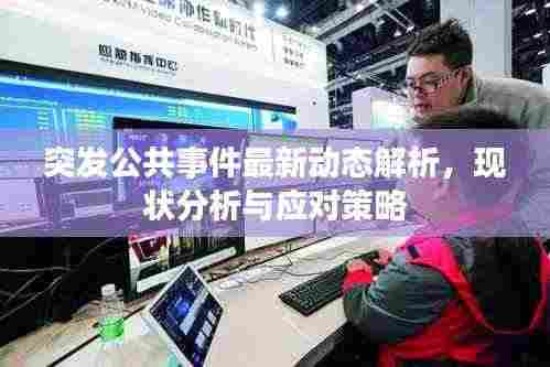 突发公共事件最新动态解析，现状分析与应对策略