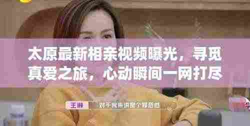 太原最新相亲视频曝光，寻觅真爱之旅，心动瞬间一网打尽！