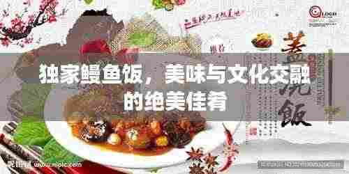独家鳗鱼饭，美味与文化交融的绝美佳肴