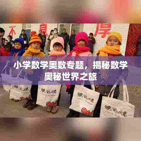 小学数学奥数专题，揭秘数学奥秘世界之旅