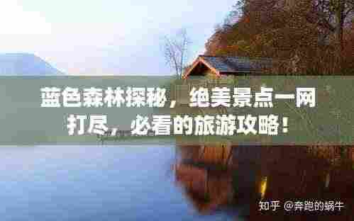 蓝色森林探秘，绝美景点一网打尽，必看的旅游攻略！