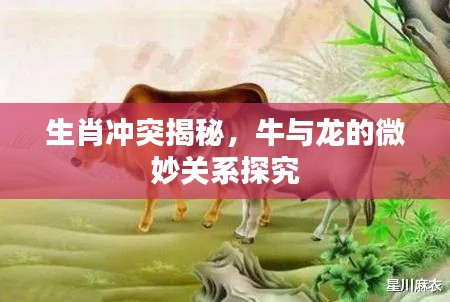 生肖冲突揭秘，牛与龙的微妙关系探究