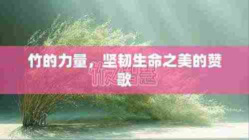 竹的力量，坚韧生命之美的赞歌