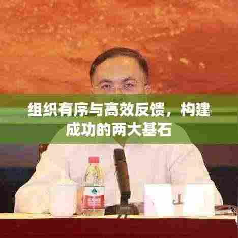 组织有序与高效反馈，构建成功的两大基石