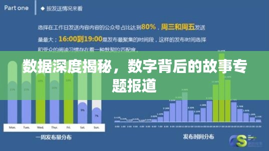 数据深度揭秘，数字背后的故事专题报道
