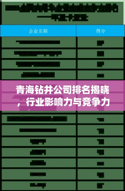 青海钻井公司排名揭晓，行业影响力与竞争力解析
