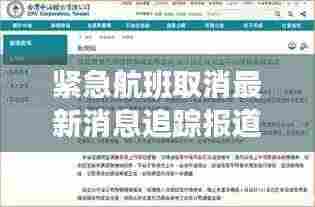 紧急航班取消最新消息追踪报道速递！