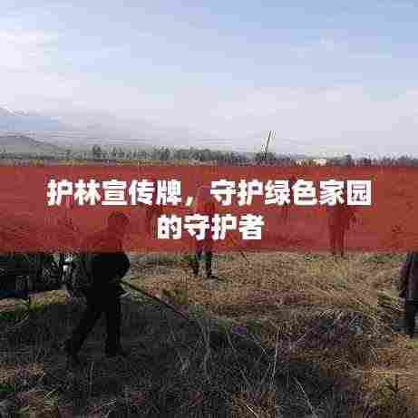 护林宣传牌，守护绿色家园的守护者