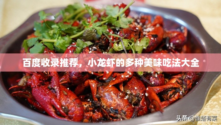 百度收录推荐，小龙虾的多种美味吃法大全
