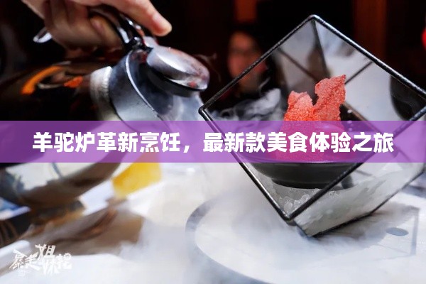 羊驼炉革新烹饪，最新款美食体验之旅