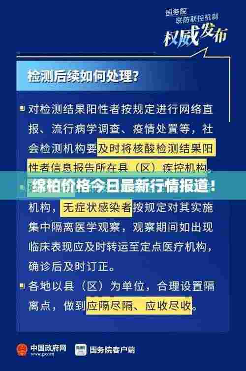 绵柏价格今日最新行情报道！