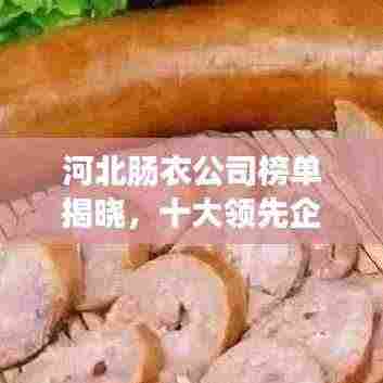 河北肠衣公司榜单揭晓，十大领先企业排名出炉！