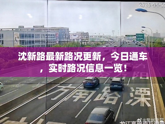 沈新路最新路况更新，今日通车，实时路况信息一览！
