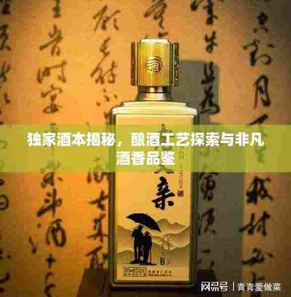 独家酒本揭秘，酿酒工艺探索与非凡酒香品鉴