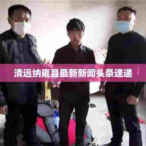 清远纳雍县最新新闻头条速递