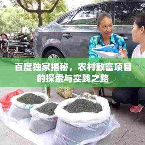 百度独家揭秘，农村致富项目的探索与实践之路