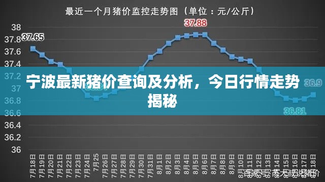 宁波最新猪价查询及分析，今日行情走势揭秘