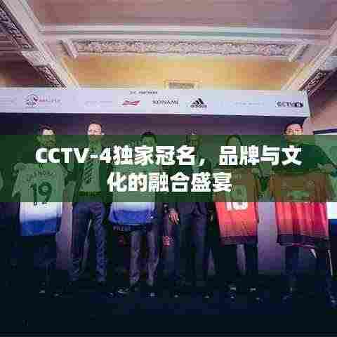 CCTV-4独家冠名，品牌与文化的融合盛宴