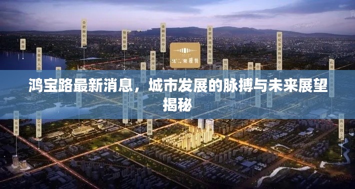 鸿宝路最新消息，城市发展的脉搏与未来展望揭秘