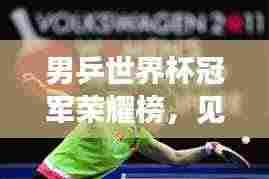 男乒世界杯冠军荣耀榜，见证辉煌时刻，乒坛精英一览无余