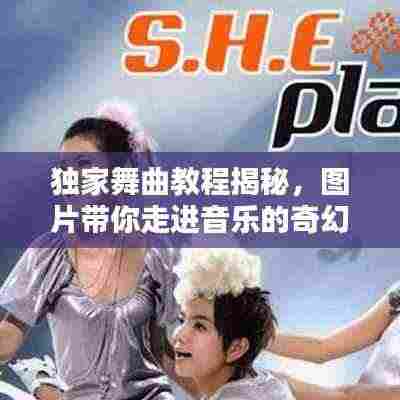 踊贵屦贱 第3页