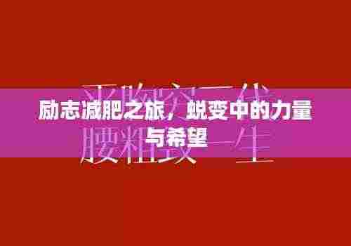 励志减肥之旅,蜕变中的力量与希望