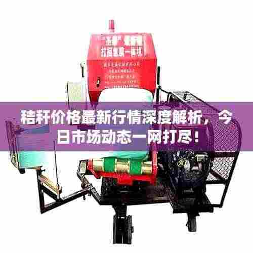 秸秆价格最新行情深度解析，今日市场动态一网打尽！