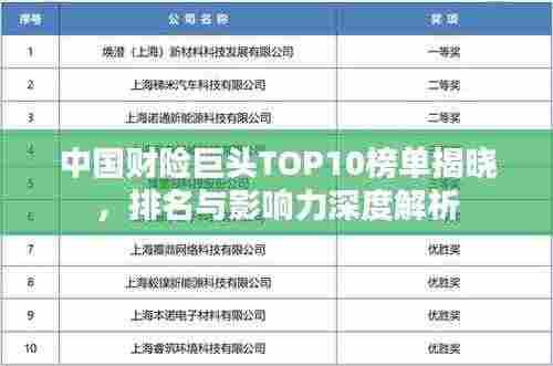 中国财险巨头TOP10榜单揭晓，排名与影响力深度解析